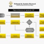 TJE facilita guía didáctica del Recurso de Apelación